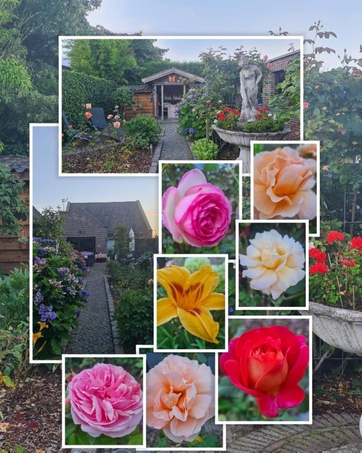 La Rose Bed & Breakfast NeerNeerpelt Екстериор снимка