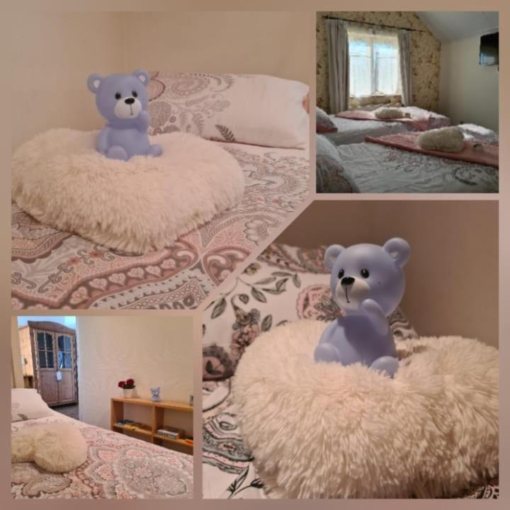 La Rose Bed & Breakfast NeerNeerpelt Екстериор снимка