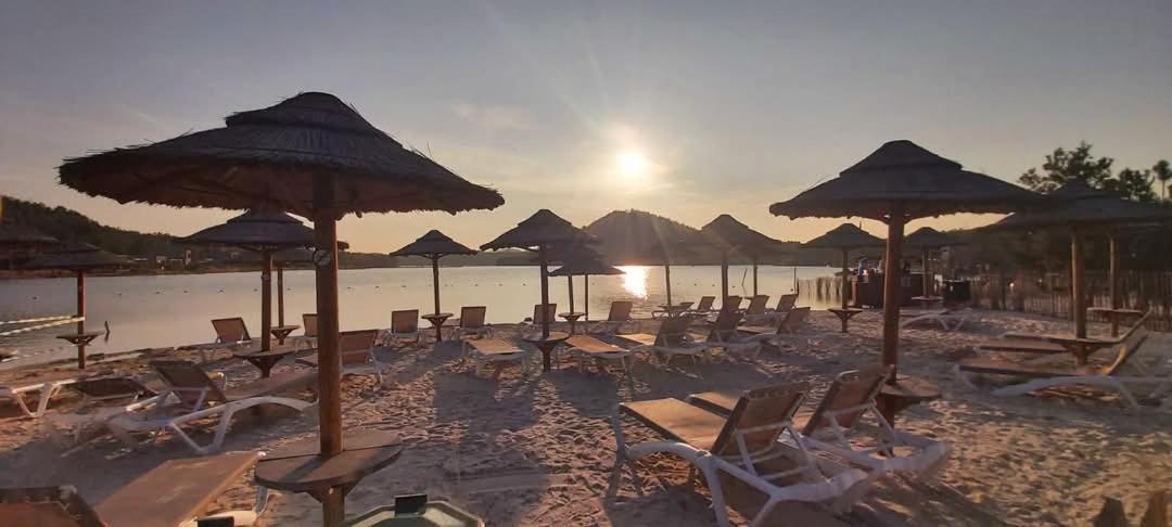 La Rose Bed & Breakfast NeerNeerpelt Екстериор снимка