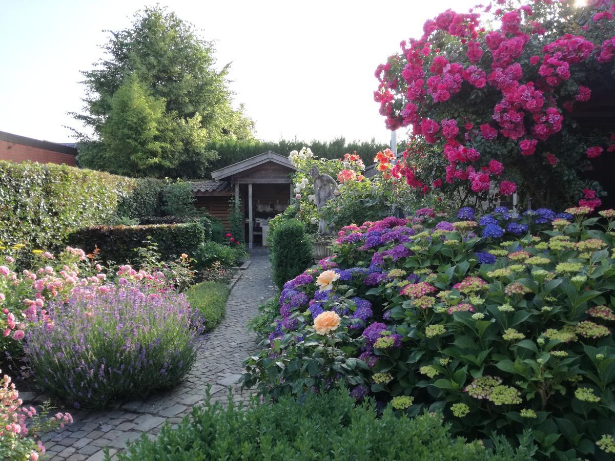 La Rose Bed & Breakfast NeerNeerpelt Екстериор снимка