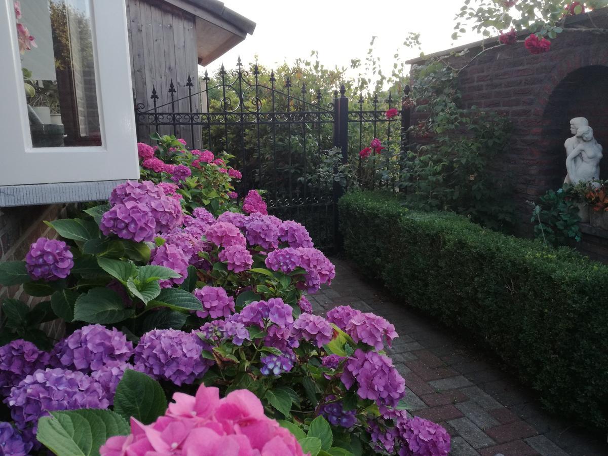 La Rose Bed & Breakfast NeerNeerpelt Екстериор снимка
